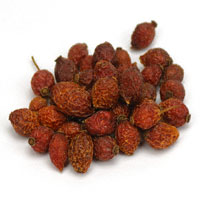 Rose Hips 1 Oz. (Rosa canina)